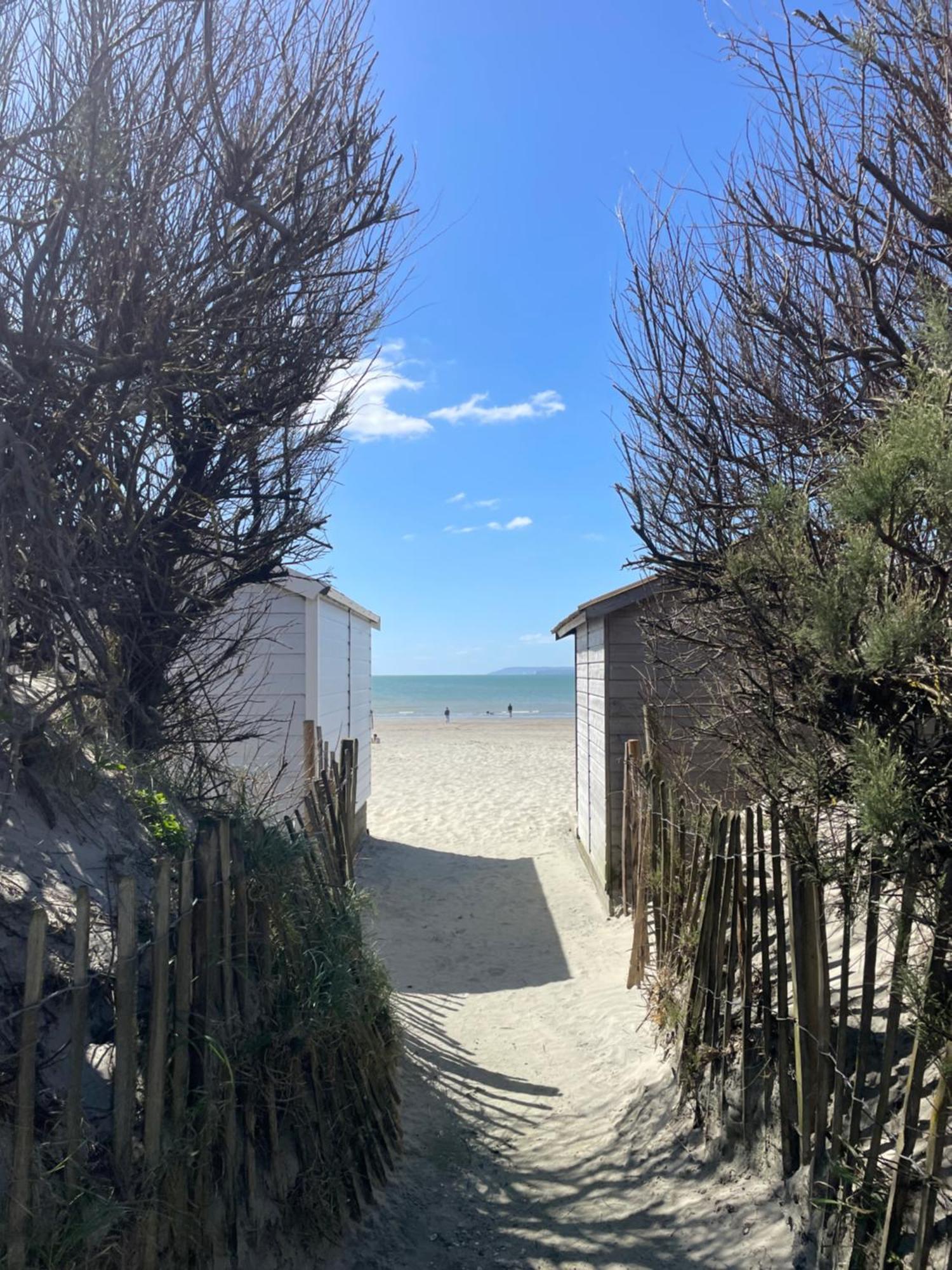 'Bramley Fall Cottage' ' On Site Ev Point - Attached Cottage,3 Separate Bedrooms -1 On Ground Level, Sleeps 6, 2 Bathrooms, Sandy Wittering Beach 8Min Drive, Rural Location, Child Friendly, Small Breed Dog Friendly, Private Parking Chichester Exterior foto
